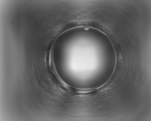 X0000068751300200604281155