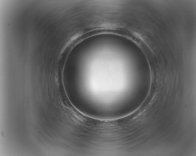 X0000068751307200604281155