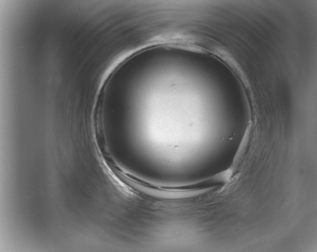 X0000068751344200604281156