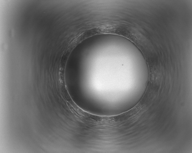 X0000068751346200604281155