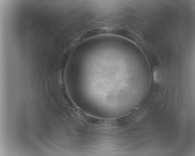 X0000068751347200604281155