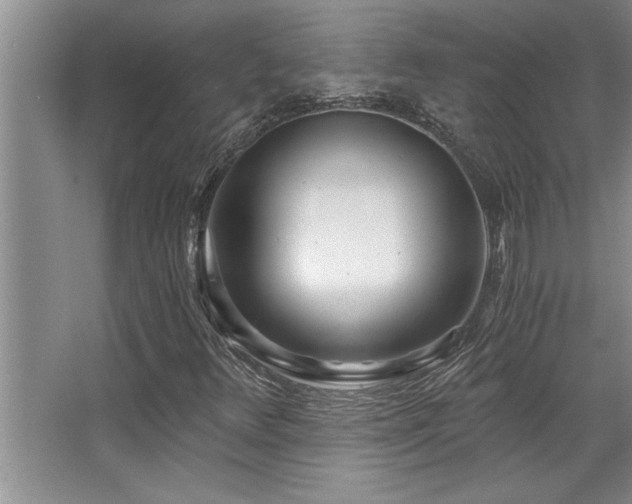 X0000068751348200604281155