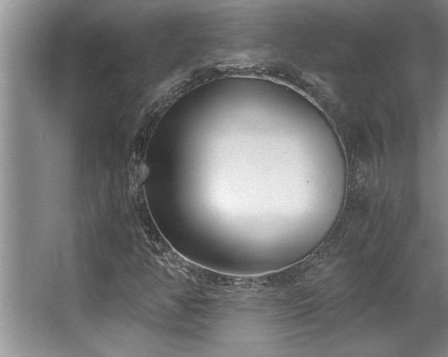 X0000068751350200604281155