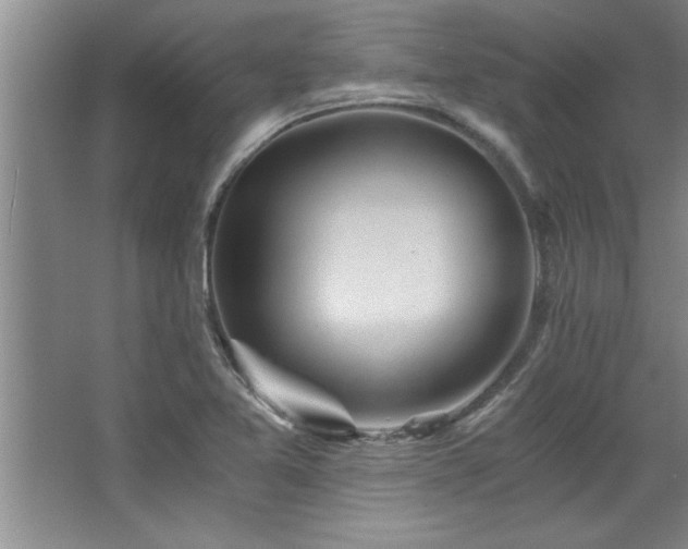 X0000068751365200604281154
