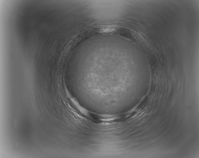X0000068751441200604281153