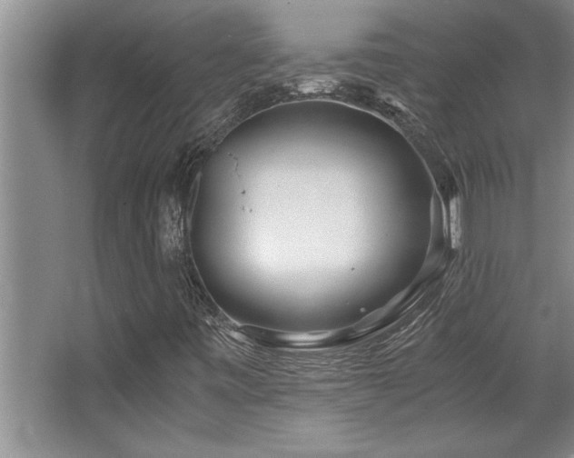 X0000068751443200604281153