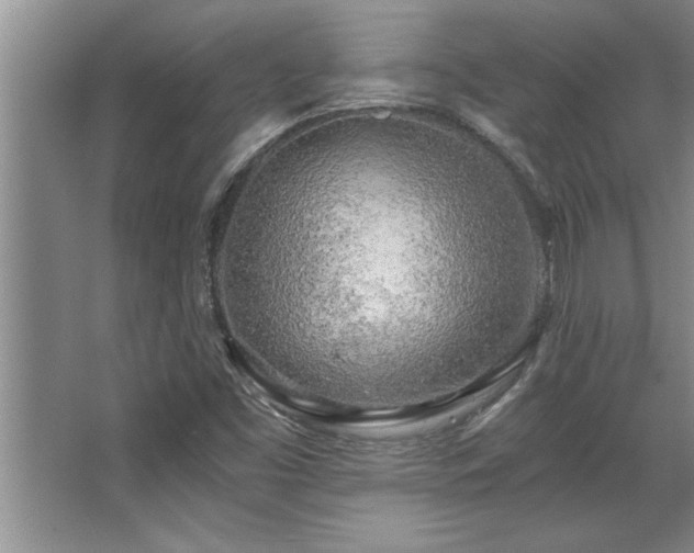 X0000068751453200604281153