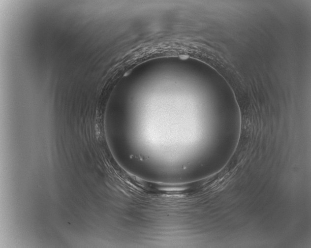 X0000068751490200604281152