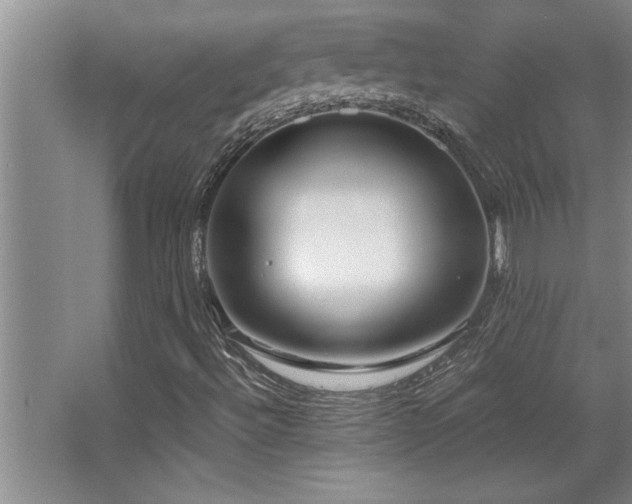 X0000068751492200604281152