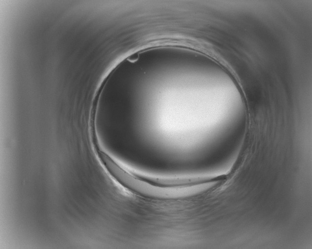 X0000068751533200604281152