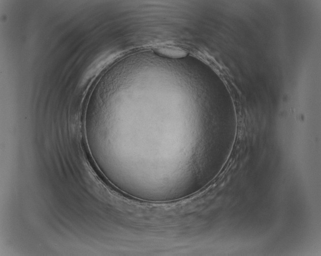 X0000068750002200605010948