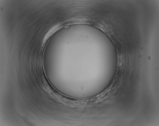 X0000068750004200605010948