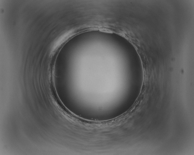 X0000068750005200605010948