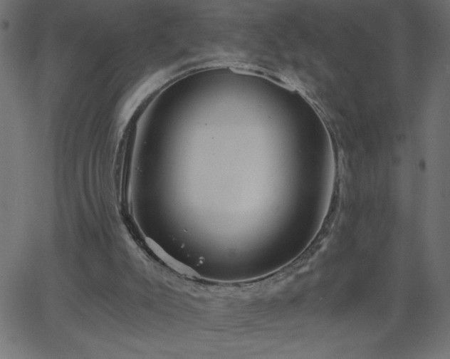 X0000068750007200605010948