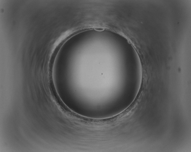 X0000068750008200605010948