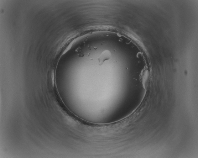X0000068750013200605010948
