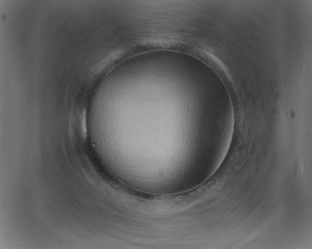 X0000068750020200605010948