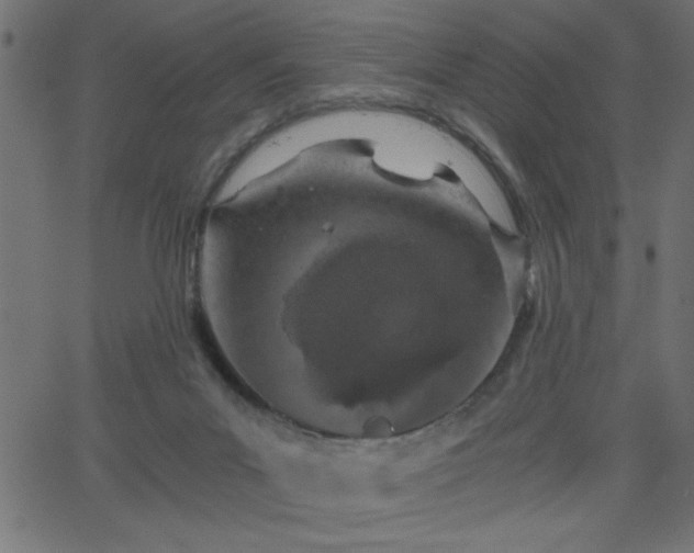 X0000068750023200605010948