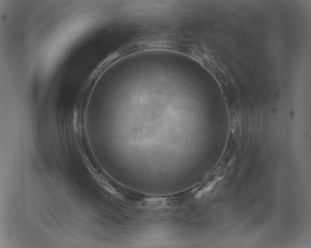 X0000068750052200605010946