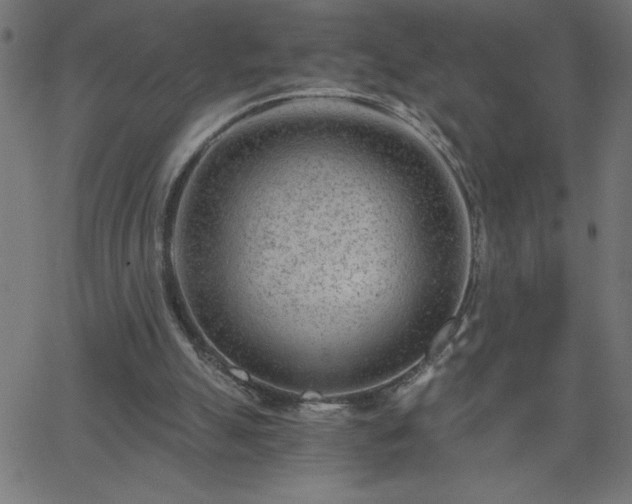 X0000068750055200605010947