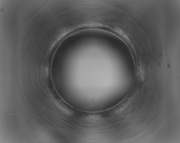 X0000068750063200605010947