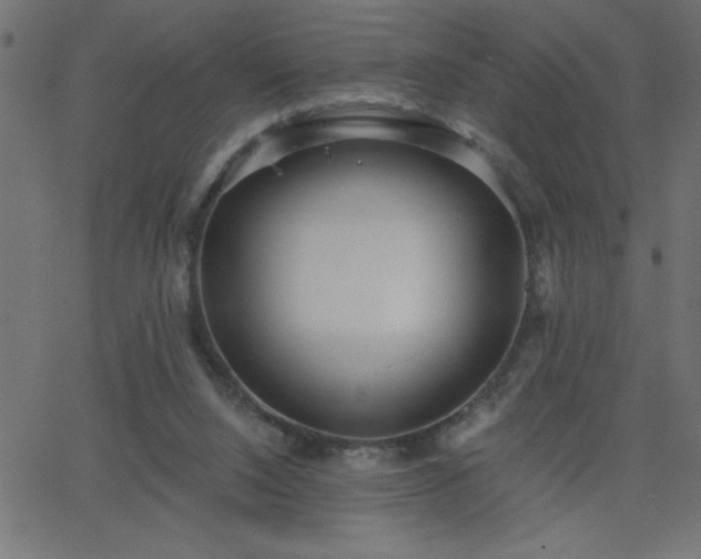 X0000068750064200605010947