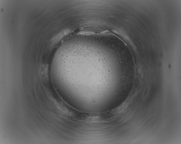 X0000068750066200605010947