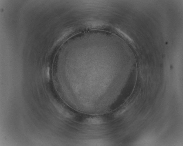 X0000068750067200605010947