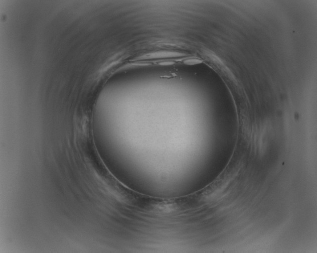 X0000068750071200605010947