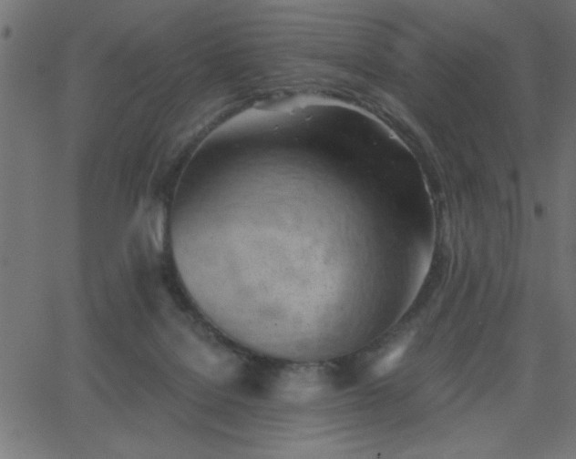 X0000068750076200605010947