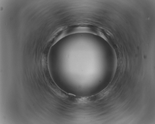 X0000068750092200605010947