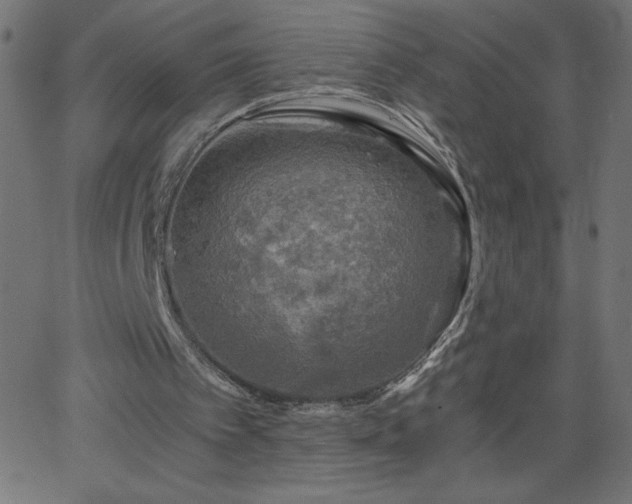 X0000068750097200605010946