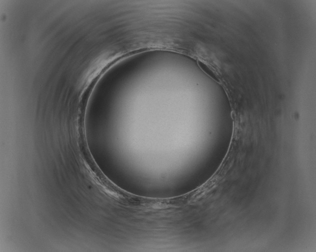 X0000068750098200605010946