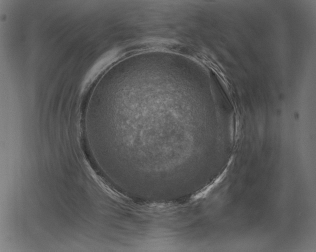 X0000068750101200605010946