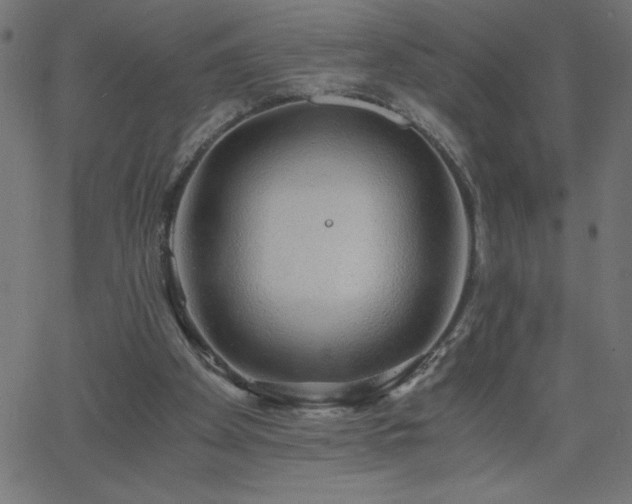 X0000068750105200605010946