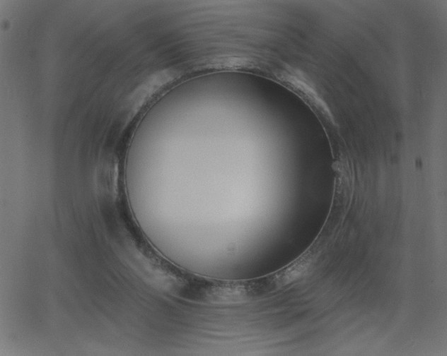 X0000068750110200605010946