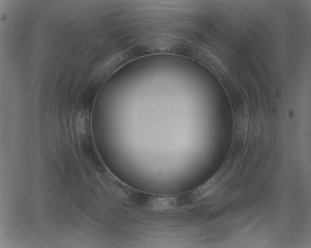X0000068750126200605010946