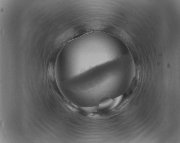 X0000068750143200605010946