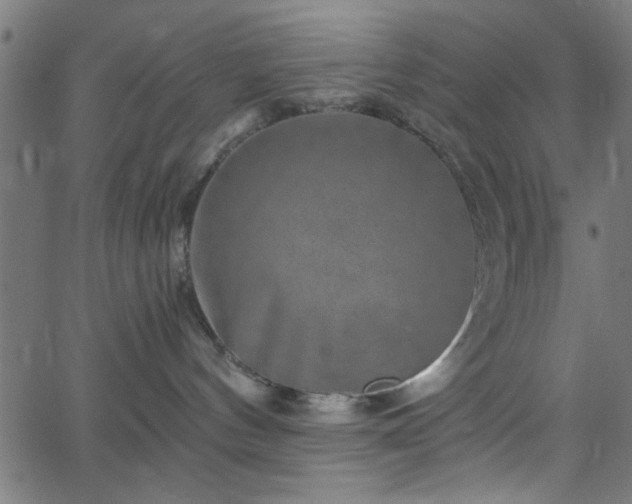 X0000068750144200605010946