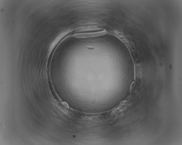 X0000068750147200605010945