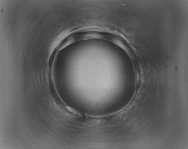 X0000068750152200605010945