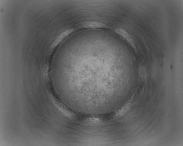 X0000068750159200605010945