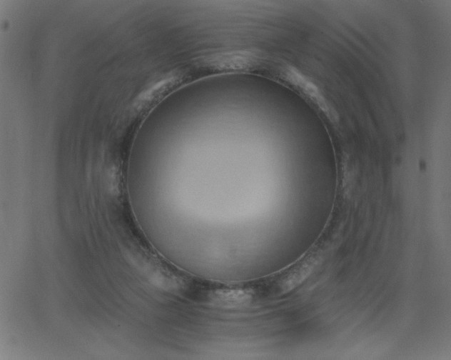 X0000068750161200605010945