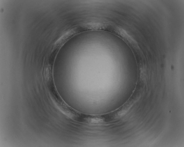 X0000068750165200605010945