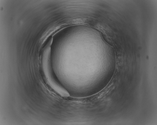 X0000068750194200605010945