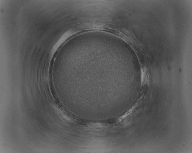 X0000068750195200605010945