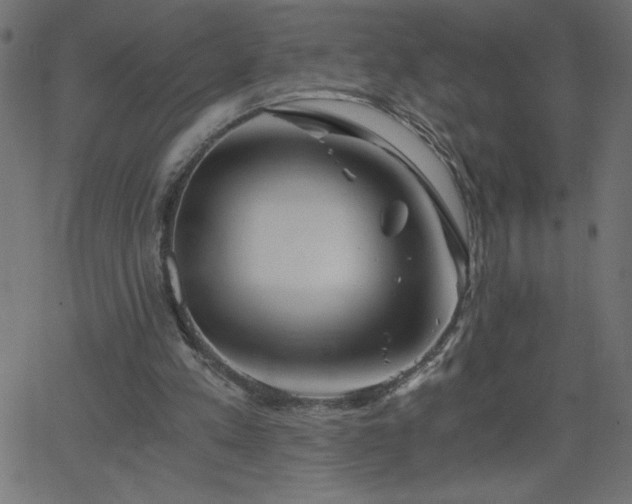X0000068750197200605010945