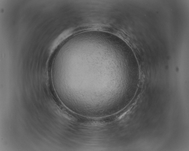 X0000068750198200605010945
