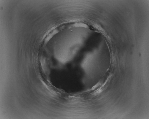 X0000068750201200605010945