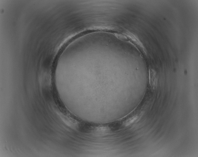 X0000068750204200605010945